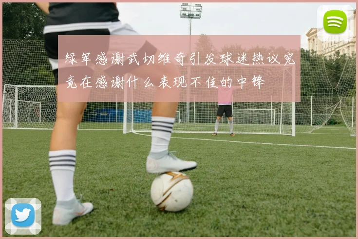 绿军感谢武切维奇引发球迷热议究竟在感谢什么表现不佳的中锋